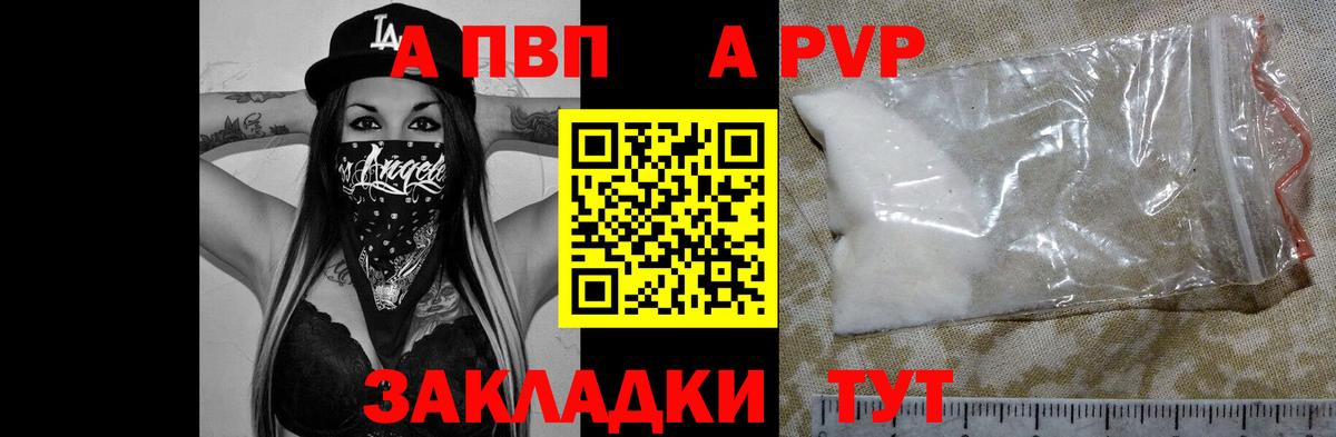 A PVP Гусев