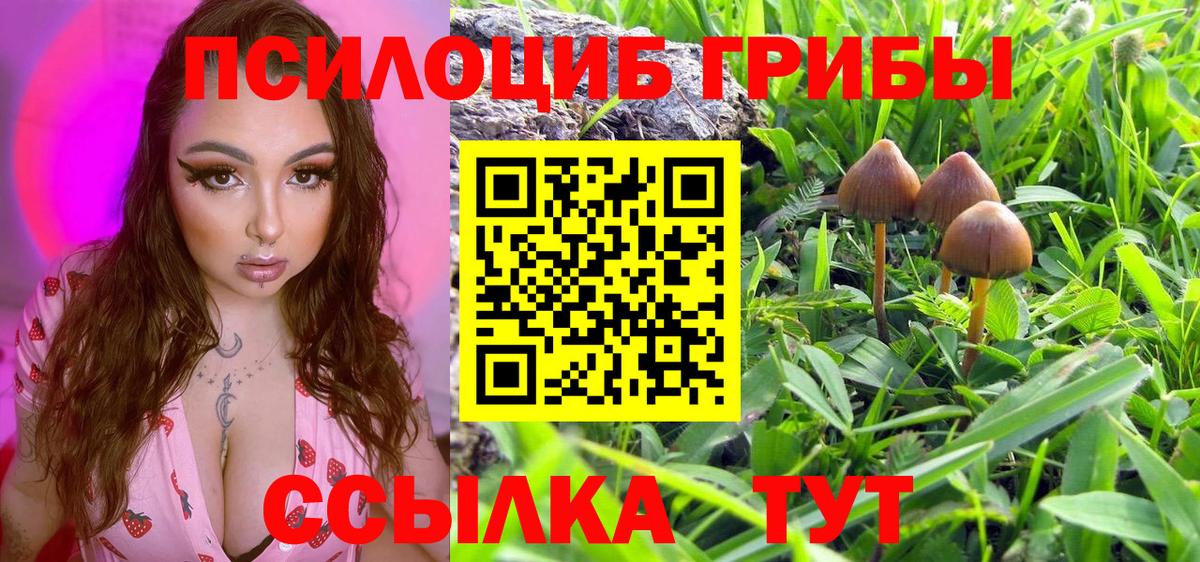 Псилоцибиновые грибы ЛСД Гусев