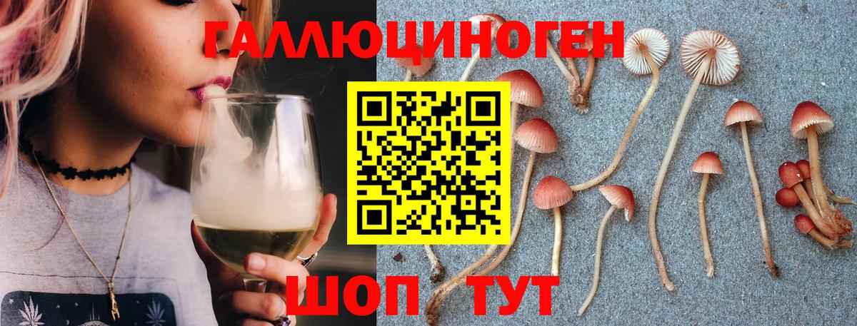 Гусев  Галлюциногенные грибы прущие грибы  Вход с VPN  Псилоцибиновые грибы GOLDEN TEACHER 